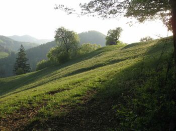 KL - Abendstimmung auf'm Dirndlweg
