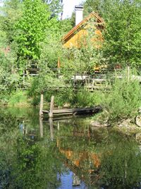 Steinschalerhof -das Teichhaus im Sommer.JPG