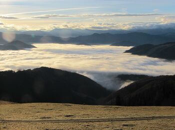 Talnebel Traisental