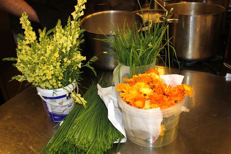 Standart in der Küche: Deko für Essen mit genussvollen Blüten