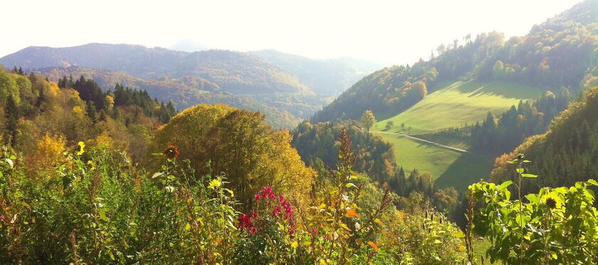 Steinschaler Dörfl: Blick vom Garten ins Tal - Herbst