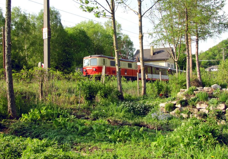 Datei:Die Gartenbahn MzB.jpg