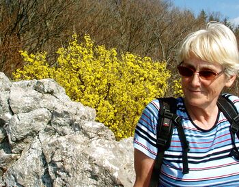 Dirndlblüte auf der Spitzmauer